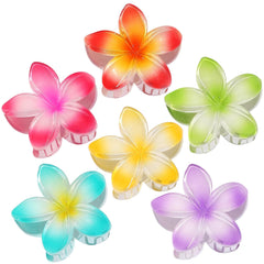 CHANDAT front view of six colorful flower clips showing vibrant gradient finish and shape benefit