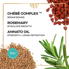 Chéribé ingredient chebe seed detail emphasizing heirloom source and nourishing botanicals