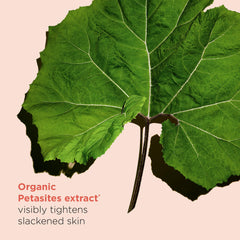 Clarins organic aloe vera leaf next to cream emphasizing hydration