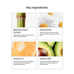 CLEARSTEM ingredient display of vitamin C green tea bamboo showing antioxidant benefit