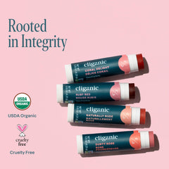 Cliganic set arranged as stocking stuffer showing gift-ready appeal