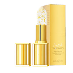 Coellyo Lipstick front packaging showing brand and sleek tube that looks premium