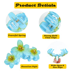 CURASA packaging and label detail showing six-color set and product info
