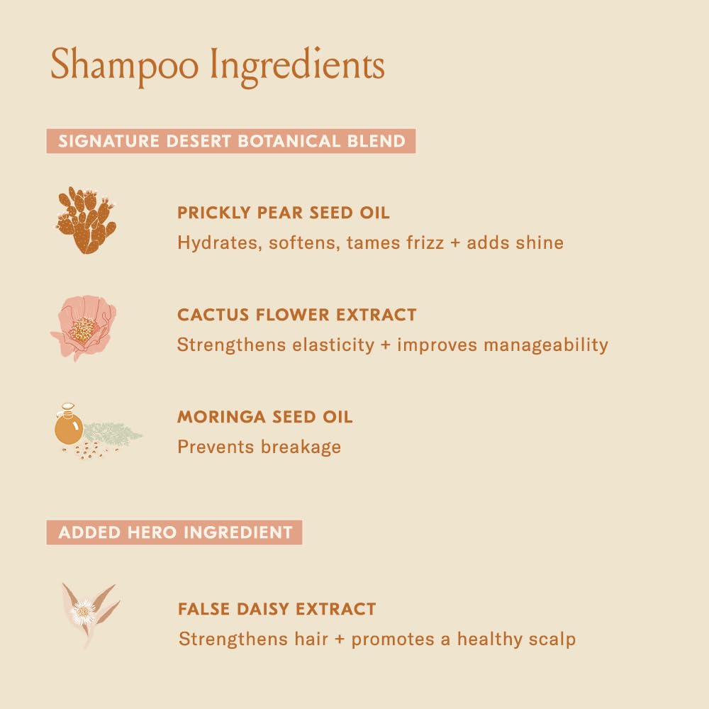 DAE shampoo lather texture on hand for gentle cleansing
