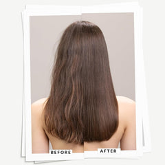 Davines DEDE back label with ingredient list, transparency about botanical extract