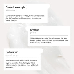 Dermatica balm beside everyday items showing size and portability benefit