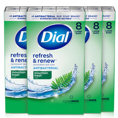 Dial mountain fresh front packaging showing bulk 32-bar supply and clear branding