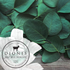 Dionis tube in daily bag setting for on-the-go hydration convenience