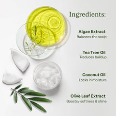 Divi conditioner applied in hands, shows spreadability and lightweight feel