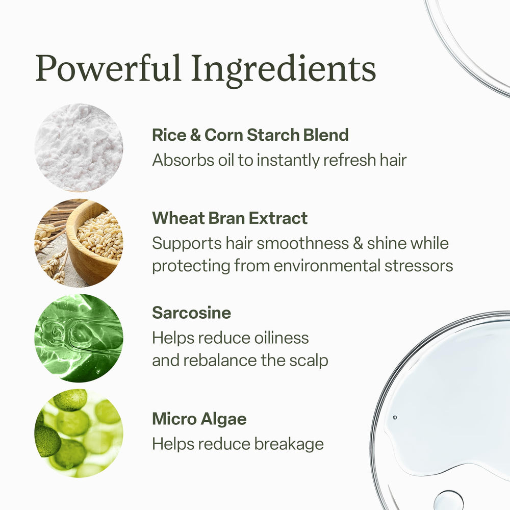 divi dry shampoo held in hand for scale indicating travel-friendly benefit