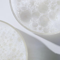 Divi next to green tea and microalgae emphasizing botanical support