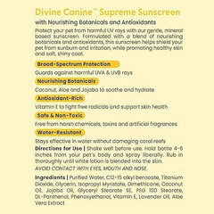 Divine Canine used on dog at beach illustrating outdoor sun protection