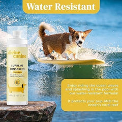 Divine Canine bottle next to hand showing compact travel-friendly size