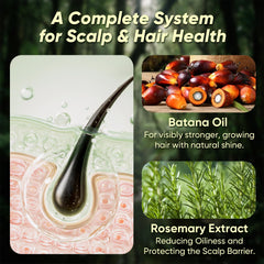 DLWUEN rosemary and Batana oil ingredients display showing nourishment
