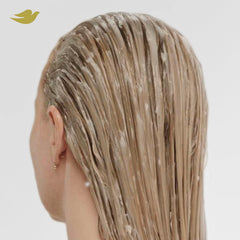 Dove cream texture scoop illustrating concentrated peptides for repair