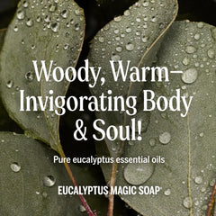 Dr. Bronner's eucalyptus used for dishwashing delivering grease-cutting power