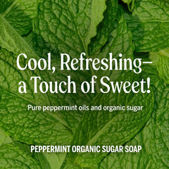 Dr. Bronner's being applied to damp hair to reduce frizz and define curls