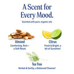 Dr. Bronner's thick lather on hands demonstrating effective gentle cleanse