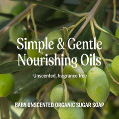 Detail of organic shikakai powder ingredient for natural conditioning in Dr. Bronner's