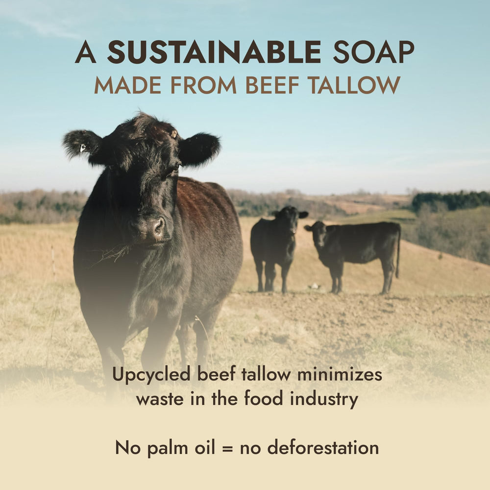 Dr. Seymour's label detail highlighting only tallow and lye water ingredients