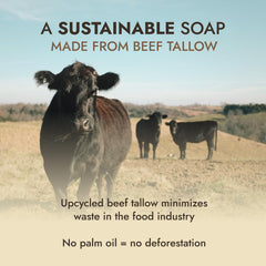 Dr. Seymour's label detail highlighting only tallow and lye water ingredients