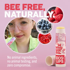 Eco Lips three-pack arranged flat to display set value and consistent mint flavor
