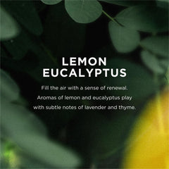 close-up lather from EO soap showing gentle foam and cleansing benefit