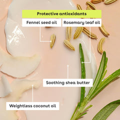 eos Vanilla Bean label close-up showing organic certification details