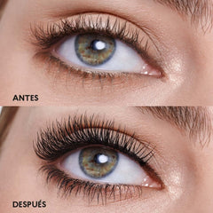 Esika L'Bel before and after lashes demonstrating visible volume lift