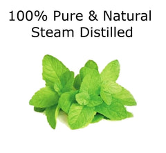 Essentially KateS peppermint oil in diffuser setup creating an invigorating home atmosphere