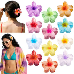 Eunhdet front packaging showing twelve colorful plumeria clips and benefits