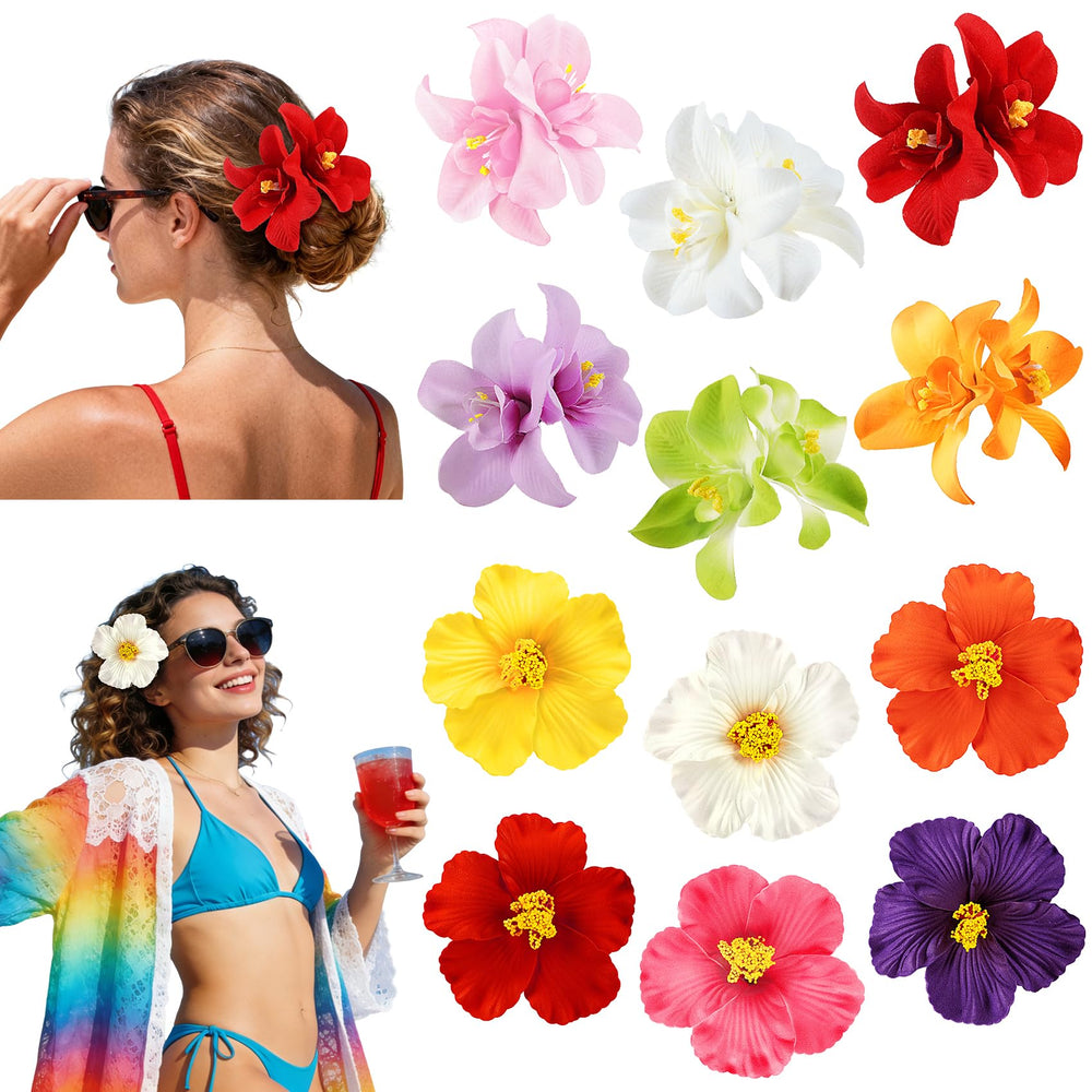 Eunhdet front packaging showing twelve colorful plumeria clips useful for gifting