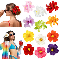 Eunhdet front packaging showing twelve colorful plumeria clips useful for gifting