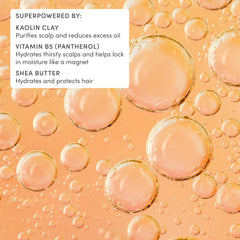 Evereden ingredient label close-up showing green kaolin clay and shea butter benefits