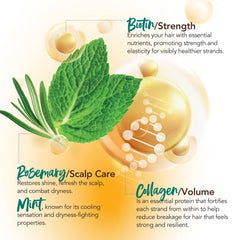 Every Strand rosemary and mint visual implying refreshing scent