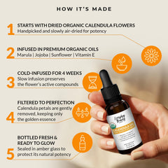 Everyday Beauty ingredients display of calendula, jojoba, marula indicating natural origins