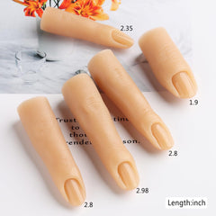 Fcozpjk fingers next to a real hand showing size and scale for realistic practice positioning