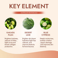 FMRFMR display of Kakadu plum and desert lime showing antioxidant boost benefit