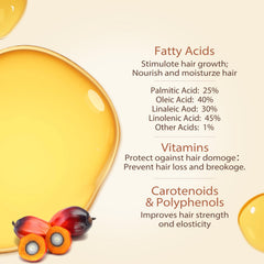 Foikoo 2 fl oz bottle size comparison for travel-friendly hair care