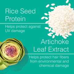 Function of Beauty spray texture on hair showcasing lightweight protection and shine