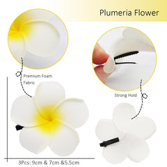 Ganepwns phalaenopsis set laid flat to show color variety and wearable sizes