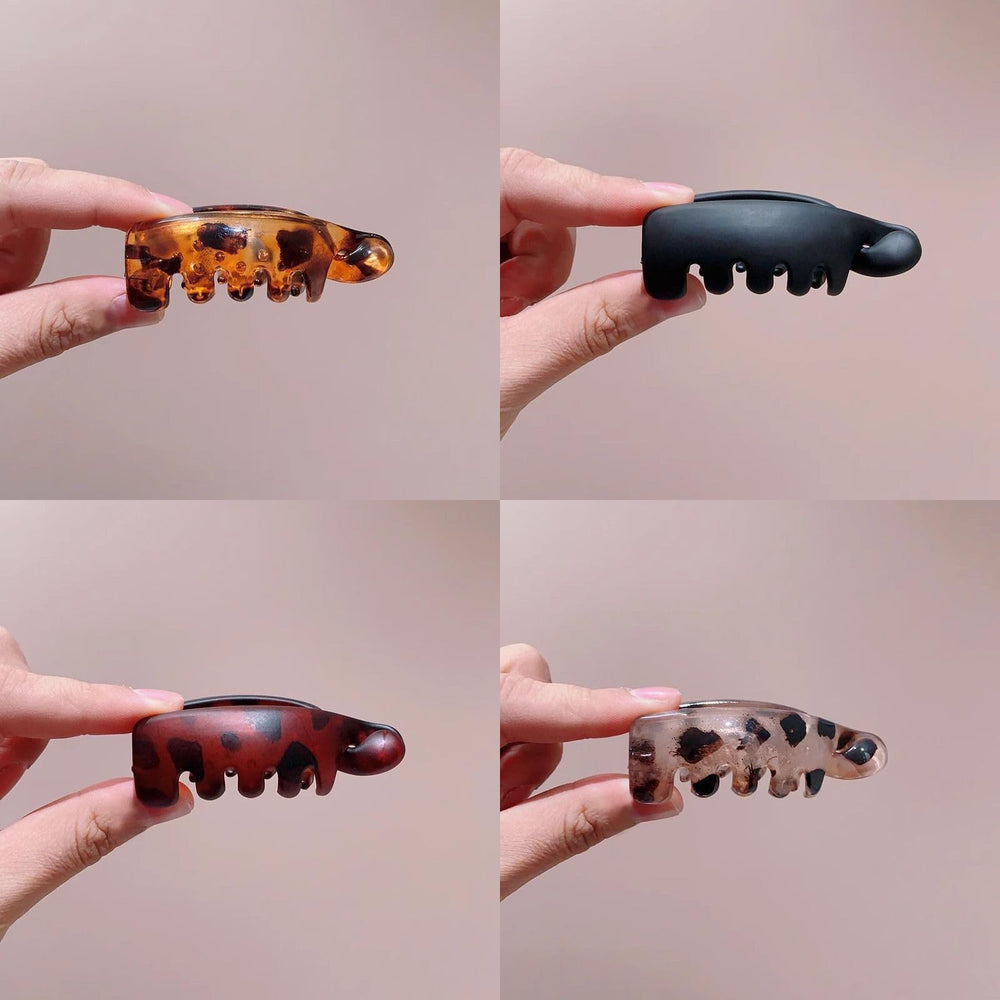 Generic leopard size comparison next to coin showing scale benefit: great for small sections