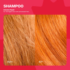Ginger Milk Natural Care shampoo texture in hand emphasizing smooth hydrating lather