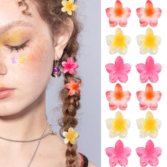 GQLV front packaging showing colorful mini flower clips and tidy storage