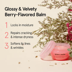 grace & stella ingredients displayed with jojoba and shea signifying natural nourishment