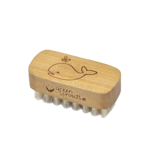 Green Sprouts nail brush front view showing compact design and gentle bristles for comfort