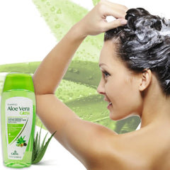 Fresh aloe leaf with avocado and olive visuals to show Grisi botanical extract benefits