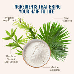 Hair La Vie ingredient spread with botanicals displaying natural-sourced components
