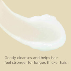 Hairitage shampoo placed on bathroom shelf in lifestyle scene conveying everyday use