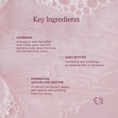 HANNI ingredients flatlay with shea butter and oatmeal benefits